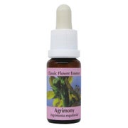 PHI Essences - Agrimony Bachblüte Nr. 1 - 1 St