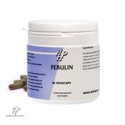 Holisan - Febulin 60 St