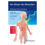 Der Körper des Menschen