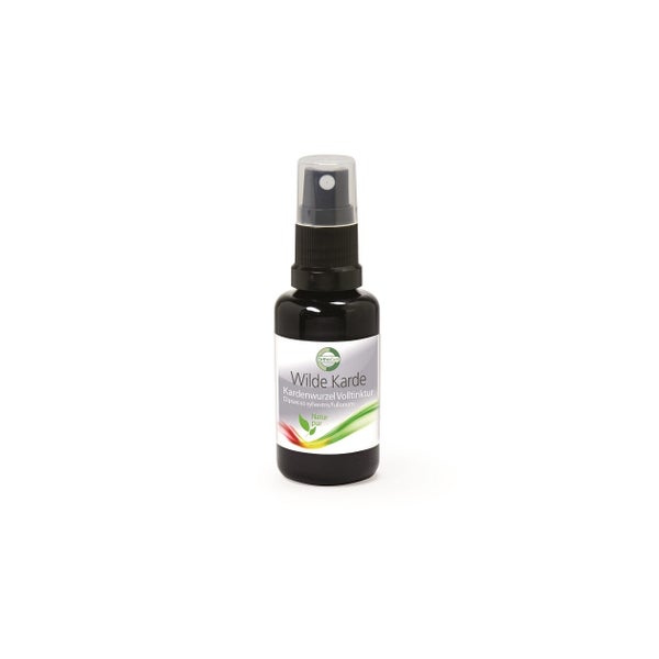 Wilde Karde Volltinktur – Pflanzlicher Kardenwurzelextrakt, 30 ml