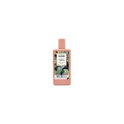 Saphir Botanic von Eisenkraut Edt Spray 50 Ml 0,05 l