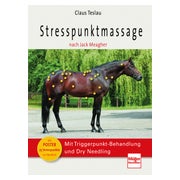 Stresspunktmassage nach Jack Meagher