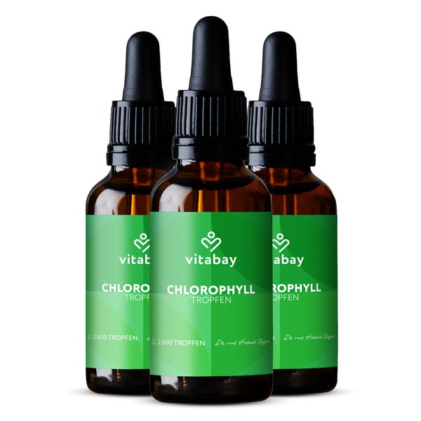 Vitabay Chlorophyll Tropfen- aus Alfalfa und Chlorella 300 ml