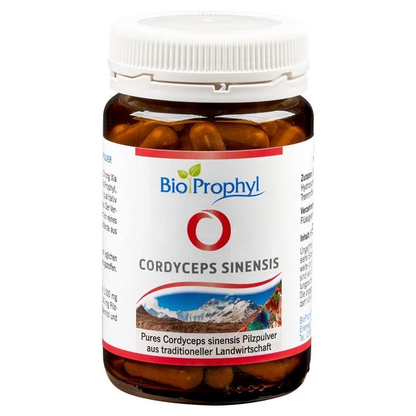 Cordyceps Sinensis 500 mg Cordyceps Pilz 90 St