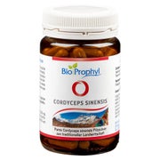 Cordyceps Sinensis 500 mg Cordyceps Pilz 90 St