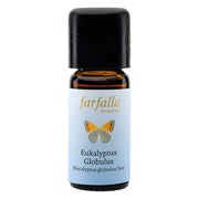 Farfalla Eukalyptus globulus bio