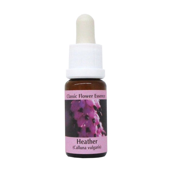 PHI Essences – Heather Bachblüte Nr. 14 – 1 St