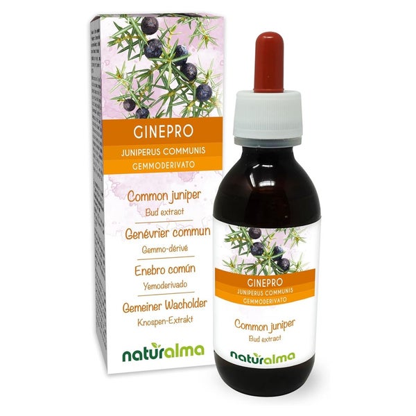 Naturalma Gemeiner Wacholder Juniperus communis Flüssig 120 ml
