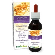 Naturalma Chinesische Raupenpilz Cordyceps sinensis  Flüssig Extrakt 120 ml