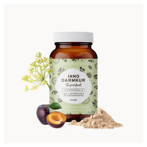 InnoNature Inno Darmkur Pulver Probierpackung 24 g