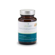 Vitalsee TANACETUM parthenium 100 Extrakt 90 St