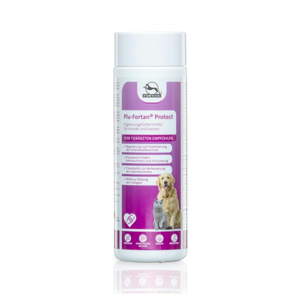Plu-Fortan Protect Tabletten mit MSM 350 g