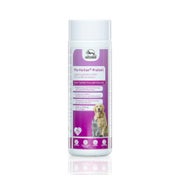 Plu-Fortan Protect Tabletten mit MSM 350 g