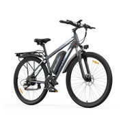 ZAZAWORK C29 PRO Elektrofahrrad, 48V 20Ah Akku,grau 1 St