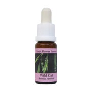 PHI Essences – Wild Oat Bachblüte Nr. 36 - 1 St
