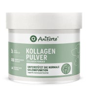 AniForte Kollagen Pulver 250 g