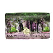 Nesti Dante Emozione in Toscana Bosco Incantato 250 g