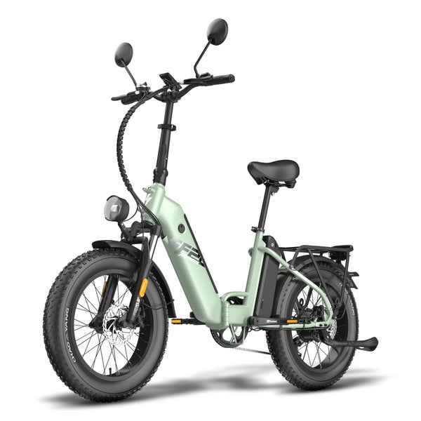 FAFREES FF20 Polar Elektrofahrrad, 48V 13,4Ah Akku (* 2) 1 St