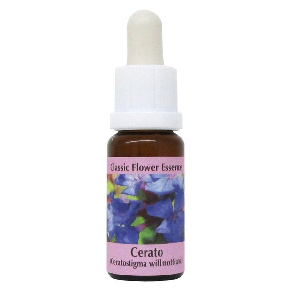 PHI Essences - Cerato Bachblüte Nr. 5 - 1 St