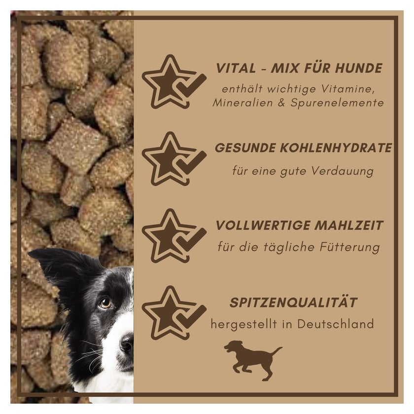 led geschirr hund Lasse
