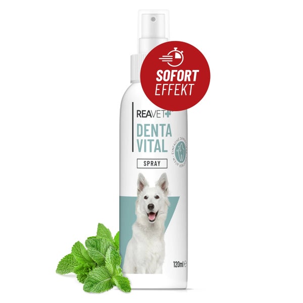 ReaVET Denta Vital Spray 120 ml