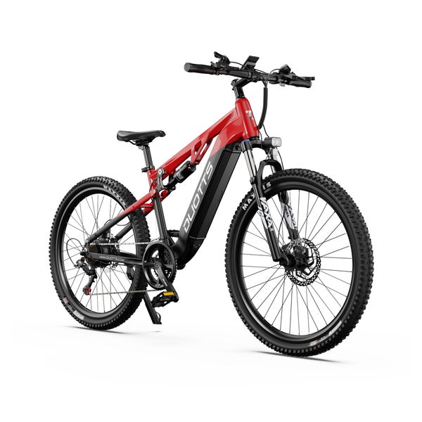 DUOTTS E29 27,5" Offroad-E-Bike 250W 48V 13,5Ah 1 St