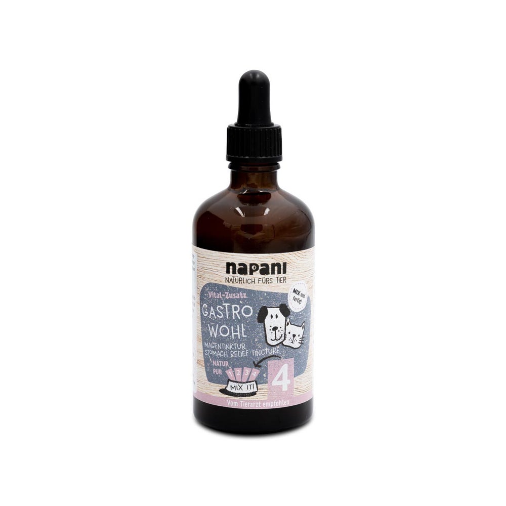 GastroWohl Magen-Tinktur für Hunde & Katzen 100 ml