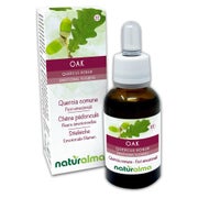 Naturalma Stieleiche Quercus robur var. pedunculata Tropfen 30 ml