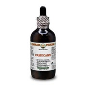 Camu-Camu Alkoholfrei Flüssigextrakt 1 St
