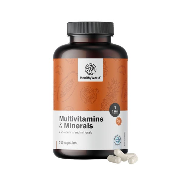 HealthyWorld Multivitamine & Mineralien – 25 Vitamine & Mineralstoffe 365 St