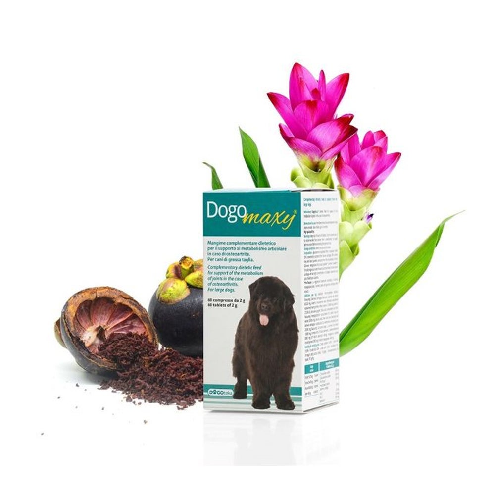 DogoMaxy 60 g