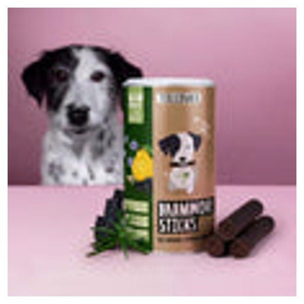 Darmwohl Sticks für Hunde