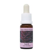 PHI Essences – Larch Bachblüte Nr. 19 - 1 St