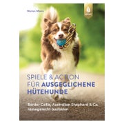Spiele und Action für ausgeglichene Hütehunde