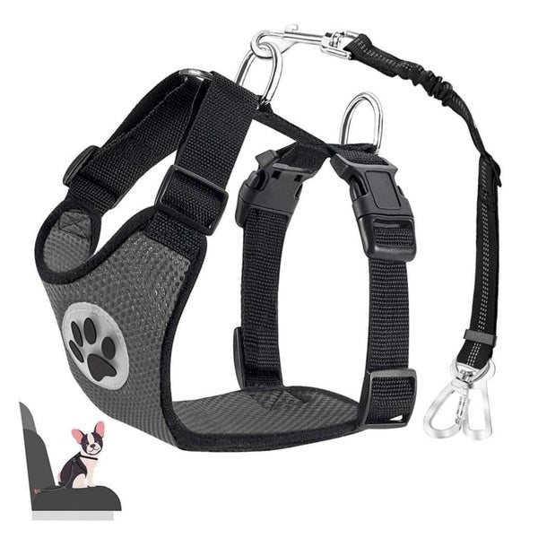 Hundegeschirr Sicherheitsgurt Auto 2 Karabiner Verstellbar X 1 St