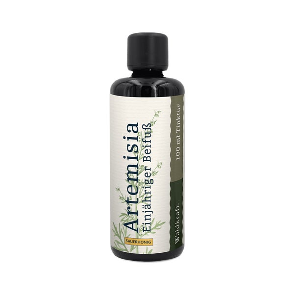 Artemisia - Einjähriger Beifuß (Sauerhonig-Basis) - 100ml 0.1 l