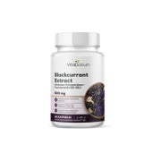 VitaSanum® Schwarze-Johannisbeer-Fruchtextrakt 20–30:1 500 mg pro Tagesportion (1 Kapsel) 90 St