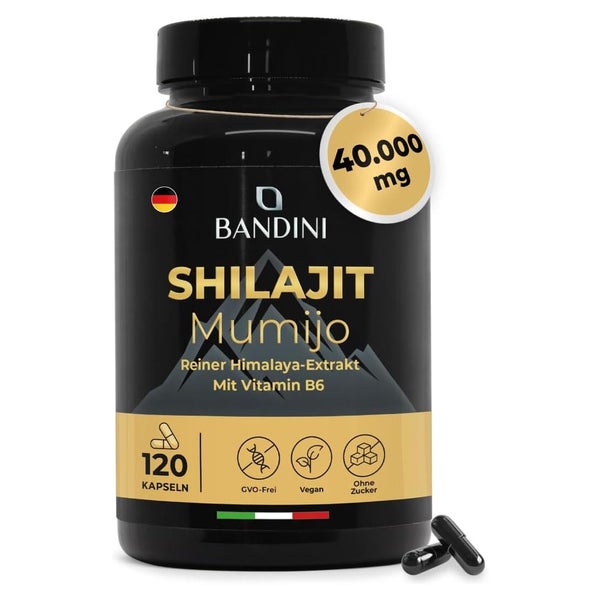 Bandini Mumijo Shilajit Kapseln 120 St