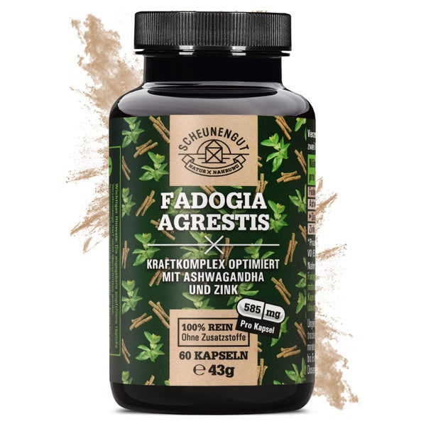 Scheunengut® Fadogia Agrestis | Hochdosierter 10:1 Extrakt 60 St
