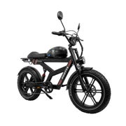 DUOTTS F20 Offroad-Elektrofahrrad mit 52V 27Ah Akku 1 St