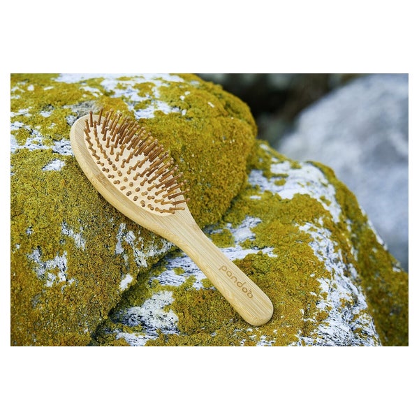 PANDOO Haarbrste 1 St online kaufen | DocMorris