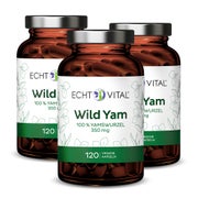 Echt Vital Wild Yam - 3 Gläser 3x120 St