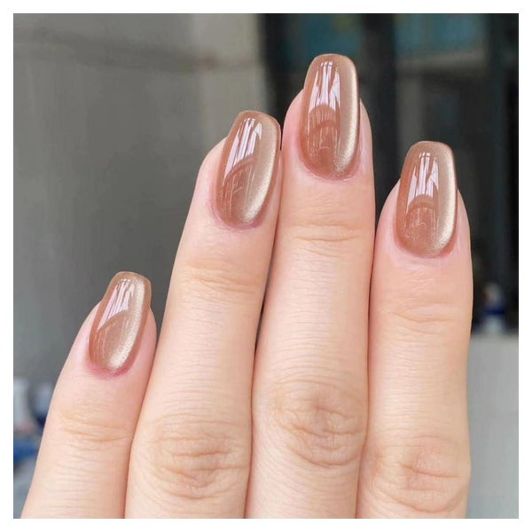Kunstnägel Cat Eye Aufkleben Kurz Eckig Press on 18brown&amp 1 St