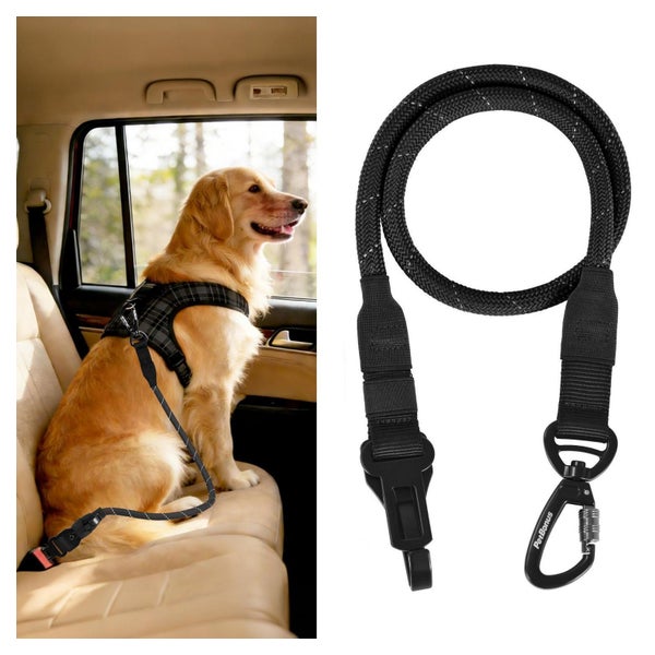 Hunde Sicherheitsgurt Anschnallgurt Auto Karabiner Schwarz 1 St