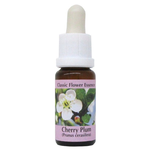 PHI Essences – Cherry Plum Bachblüte Nr. 6 – 1 St