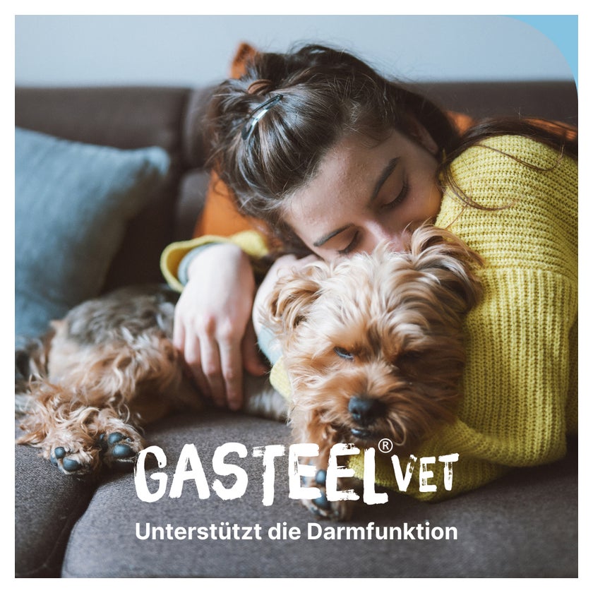 GASTEEL VET Kapseln Hund und Katze 50 St