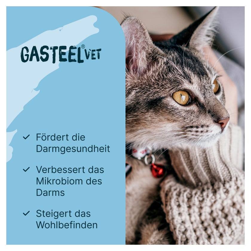GASTEEL VET Kapseln Hund und Katze 50 St