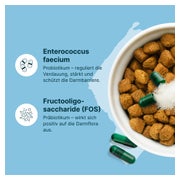 GASTEEL VET Kapseln Hund und Katze 50 St