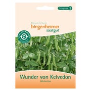 Bingenheimer Saatgut - Erbse Wunder von Kelvedon