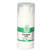 Schachtelhalm Salbe 90 g